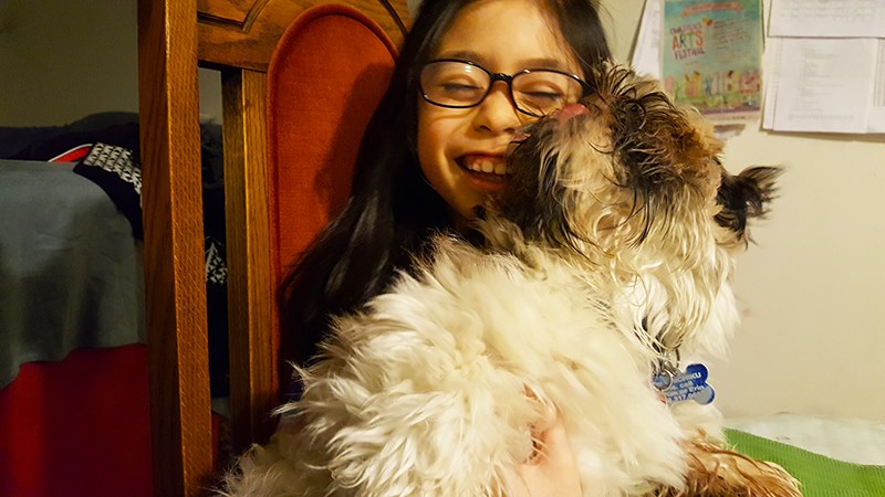 Year of the Dog feature: Chichiku. Photo submitted