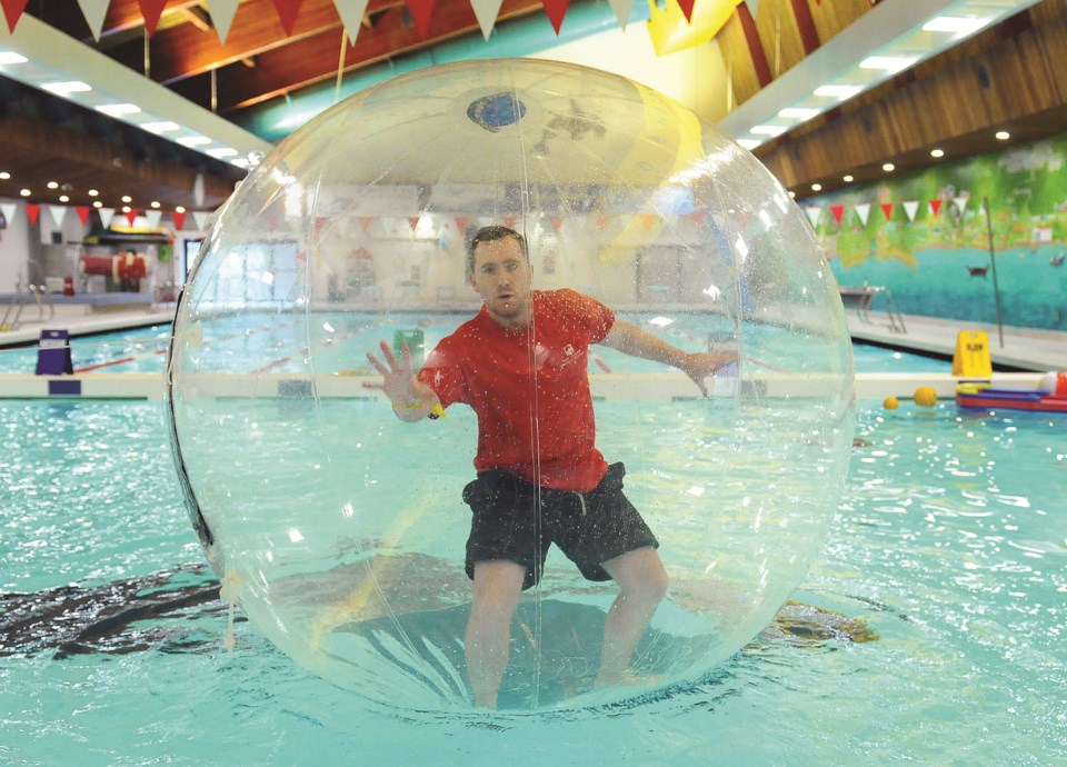 Hamster Ball