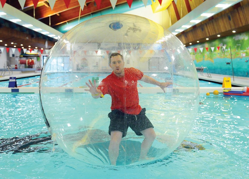 Hamster Ball