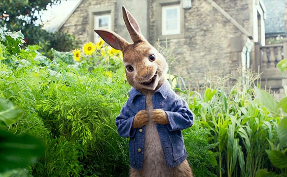 Peter Rabbit