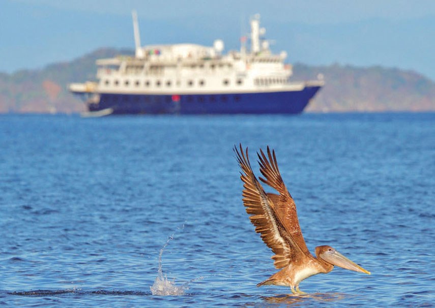 The newly refitted Safari Voyager sails various Costa Rica and Panama cruises year-round. In all, Uncruise Adventures operates eight small adventure vessels (maximum 84 passengers) in Alaska, Hawaii, Central America, Mexico and the Galápagos.