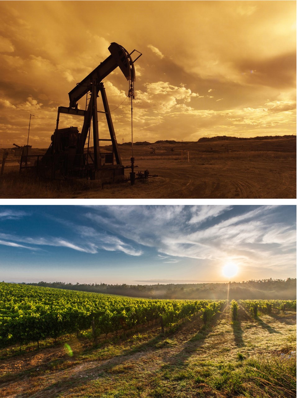 Oil fields, vineyards, stock photos