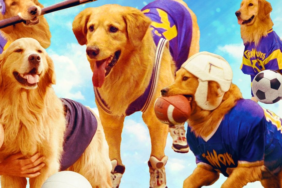 A lot of Vancouverites got their first taste of the movie business thanks to Air Bud and its litter of athletic animal sequels and spinoffs.