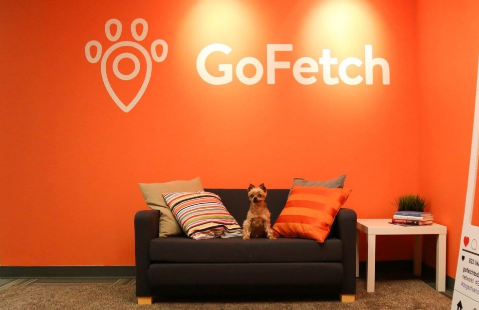 GoFetch