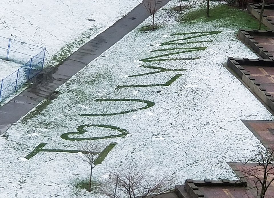 Valentine's Day snow message David Lam Park