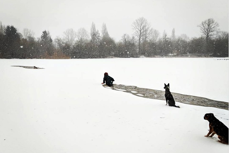 dog rescue trout lake