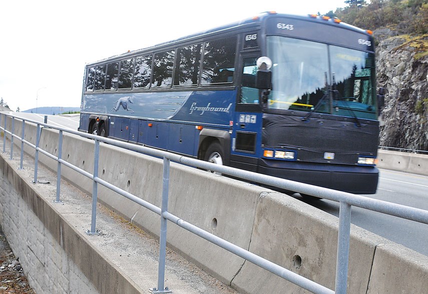 greyhound