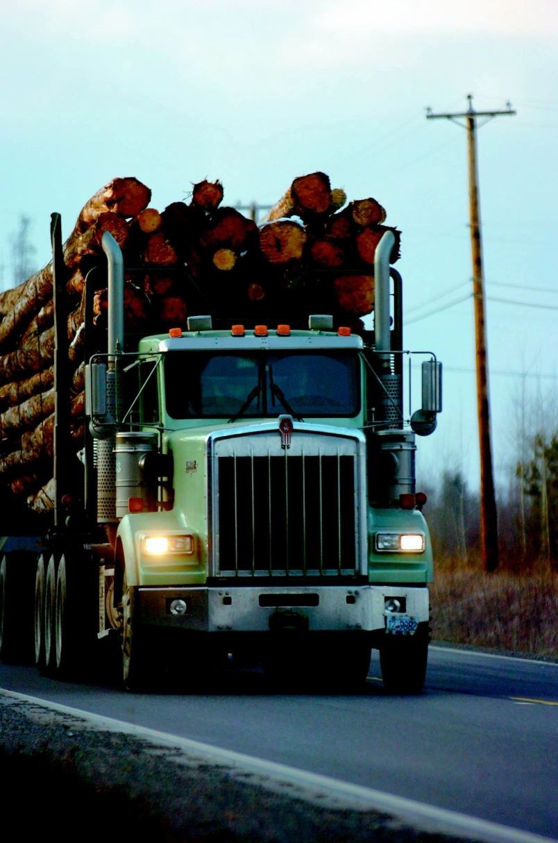 logging-truck-death.08_3720.jpg