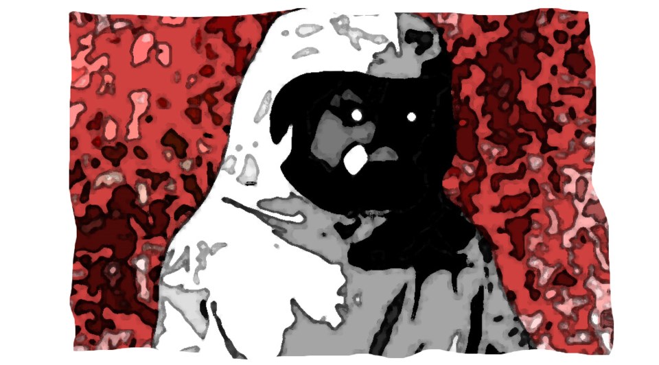 free online illustrated zombie web novel