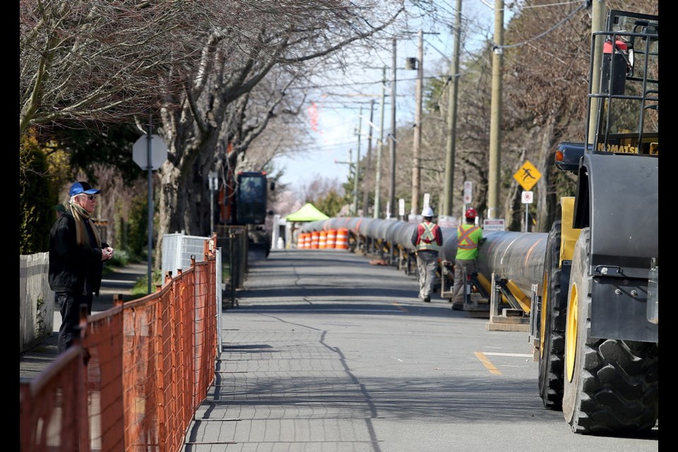 Neighbourhood resident Robin Lowry watches the progress of the assembly of the sewage pipeline as it extends down Niagara Street.