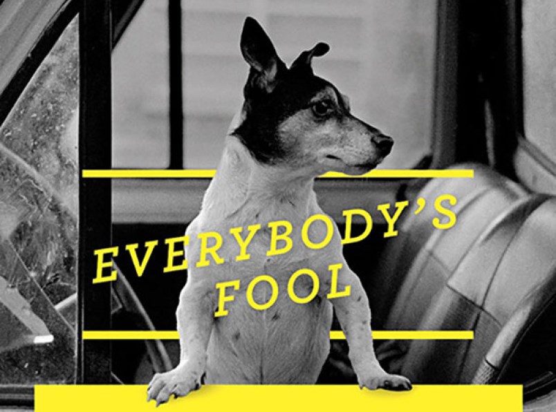 Everybody's Fool book cover cropped