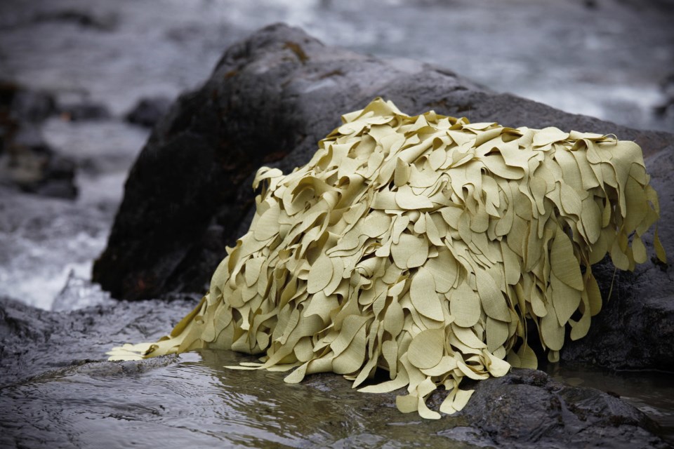 Laser-cut Seaweed Cushion