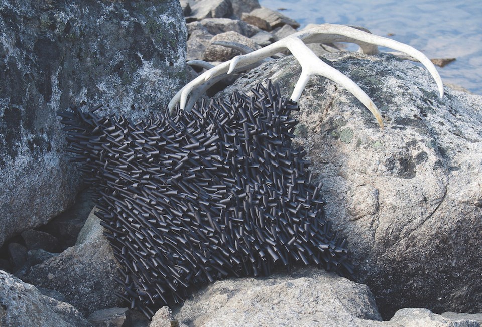 Porcupine pillow