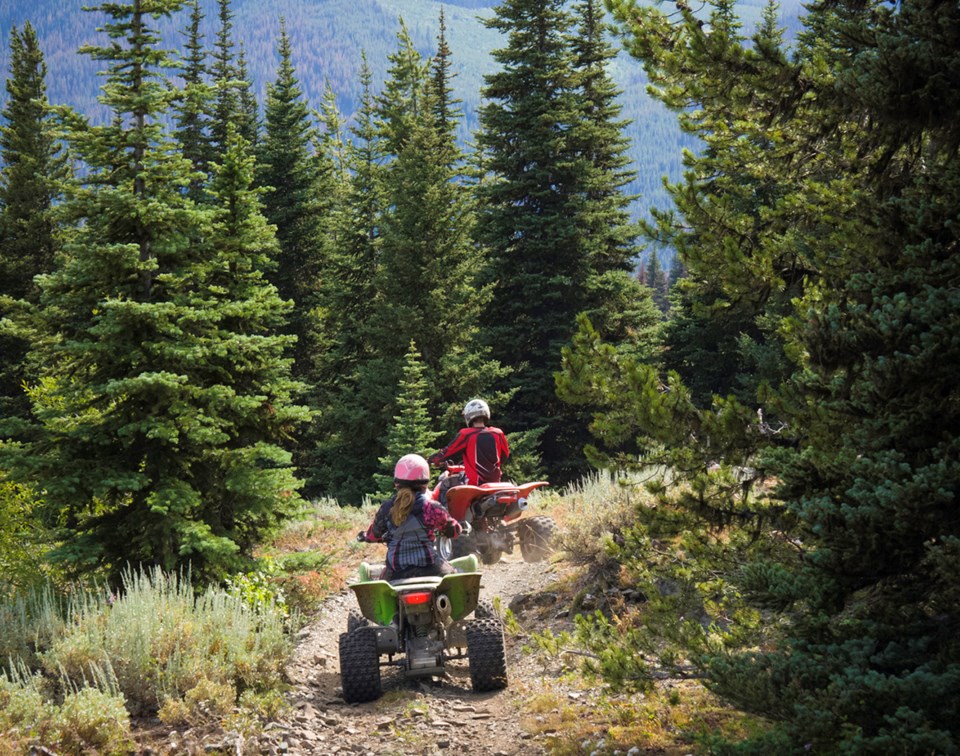 ATV in forest