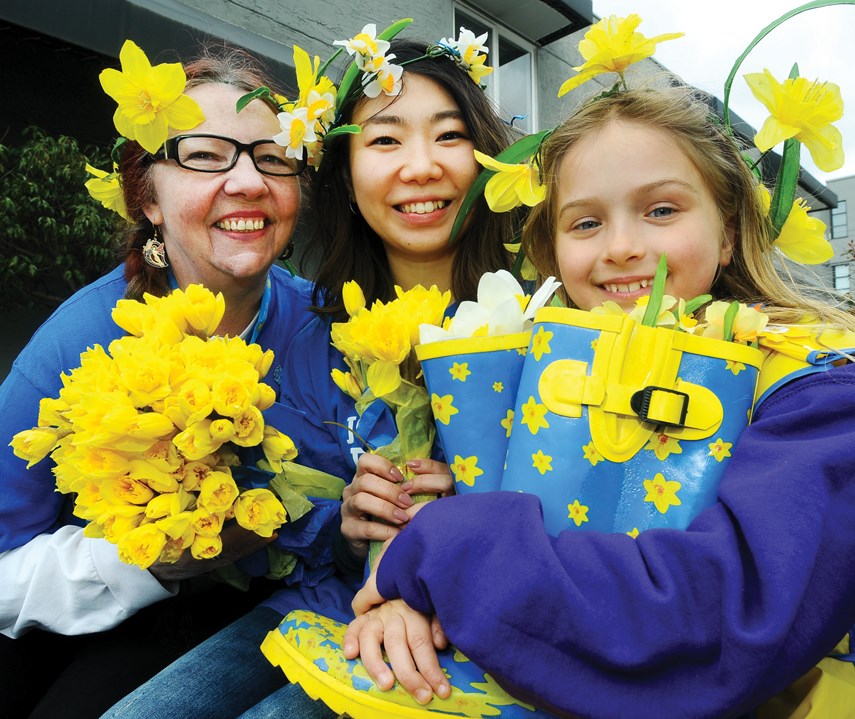Daffodil Campaign