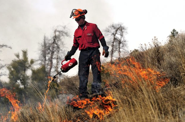 controlled burn Kenna Cartwright Park