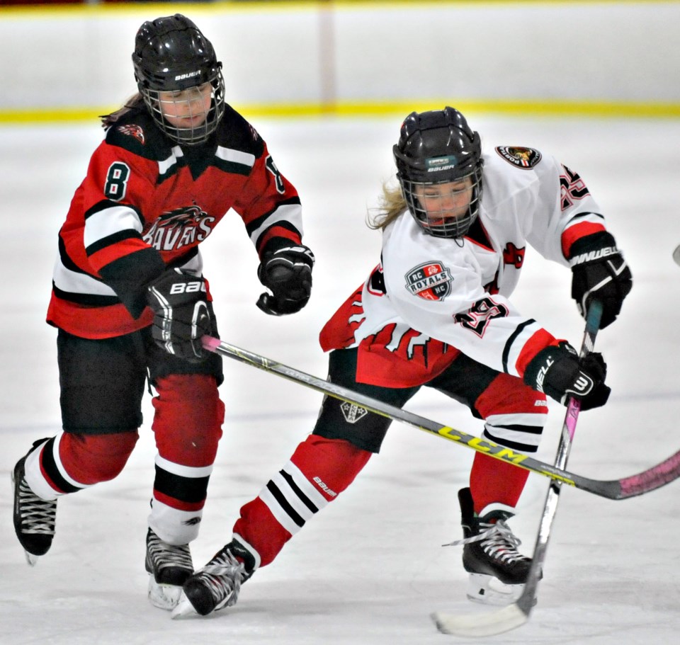hockey