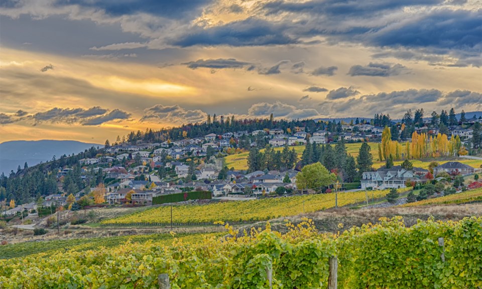 Kelowna houses vineyard