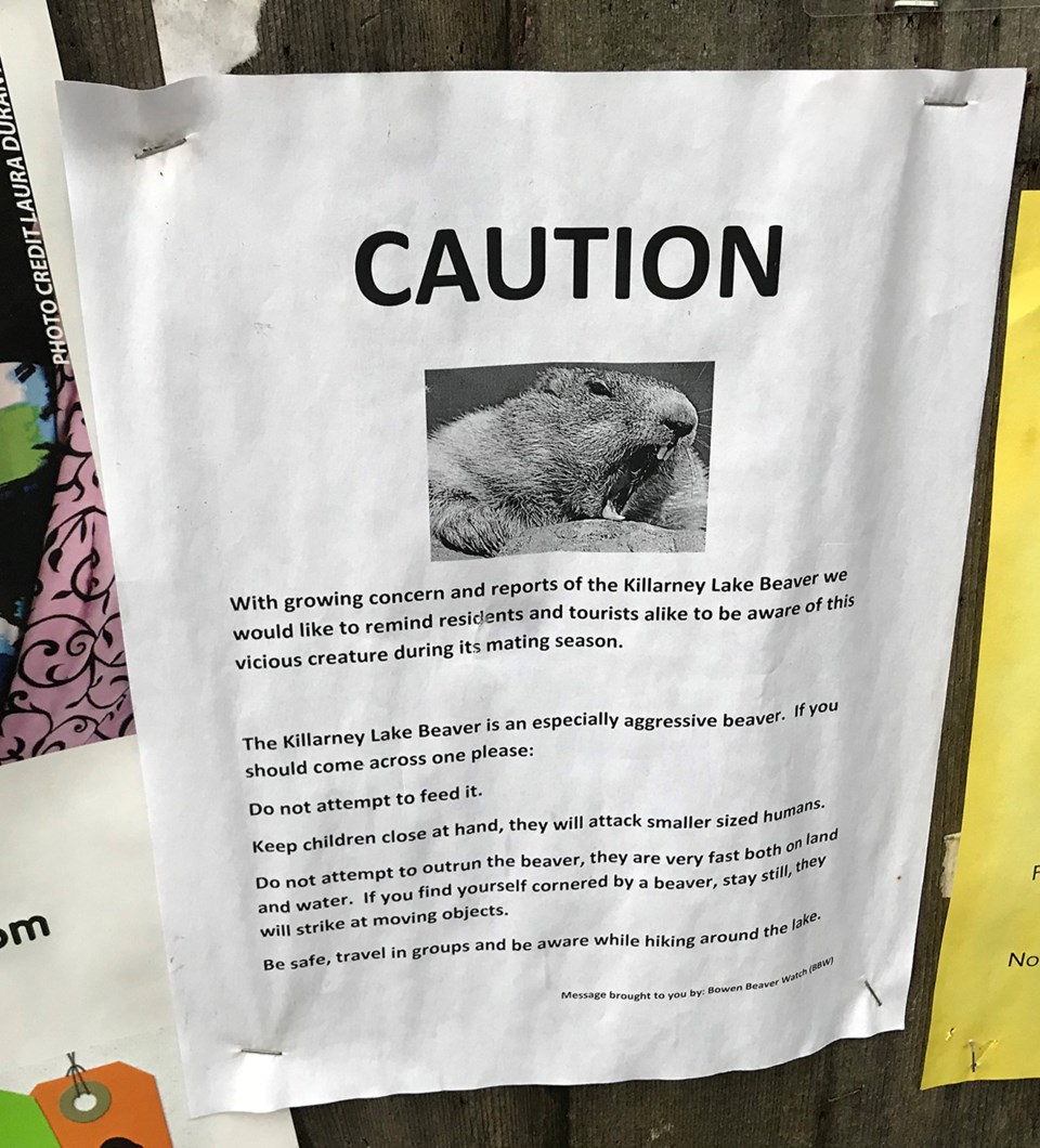 Bowen Beaver Watch Signs