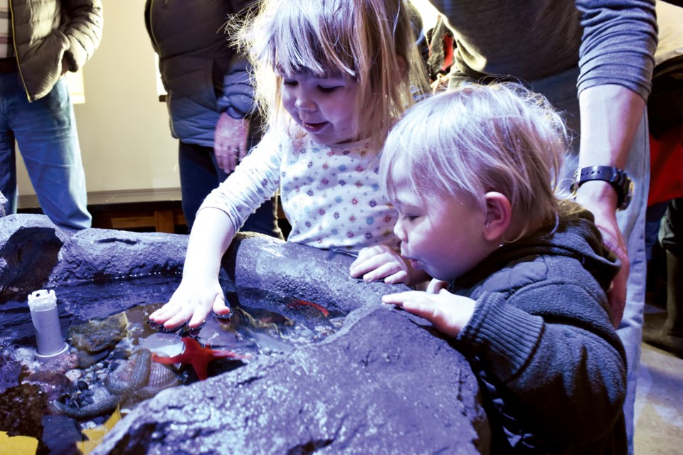 The Sonntag Marine Education Centre held an afternoon of free admission for the public to celebrate its official opening on Saturday. Specimens include rockfish and Puget Sound king crab.