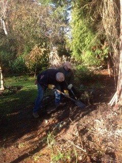 Paulik Park gardening