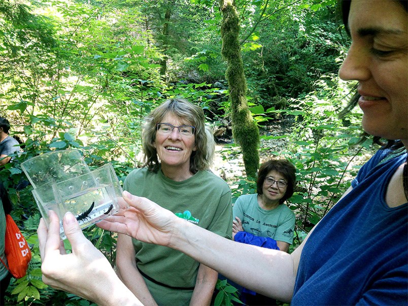 Mossom Creek nature walk