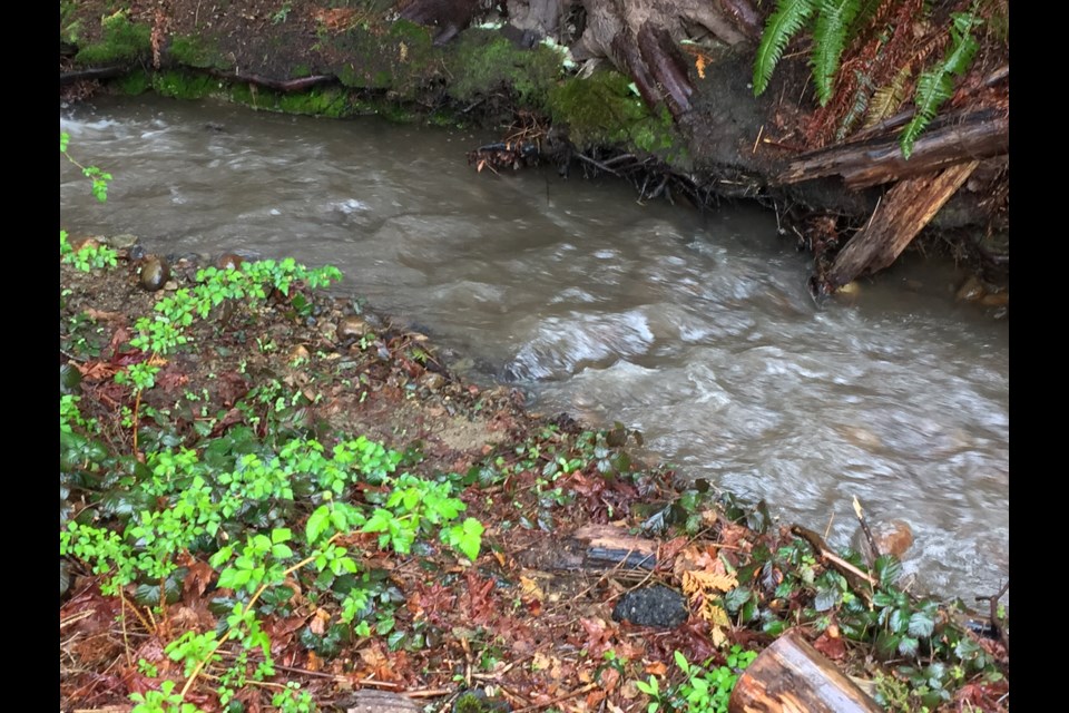 The water appears murky downstream from Kinder Morgan's terminal in Burnaby Friday afternoon
