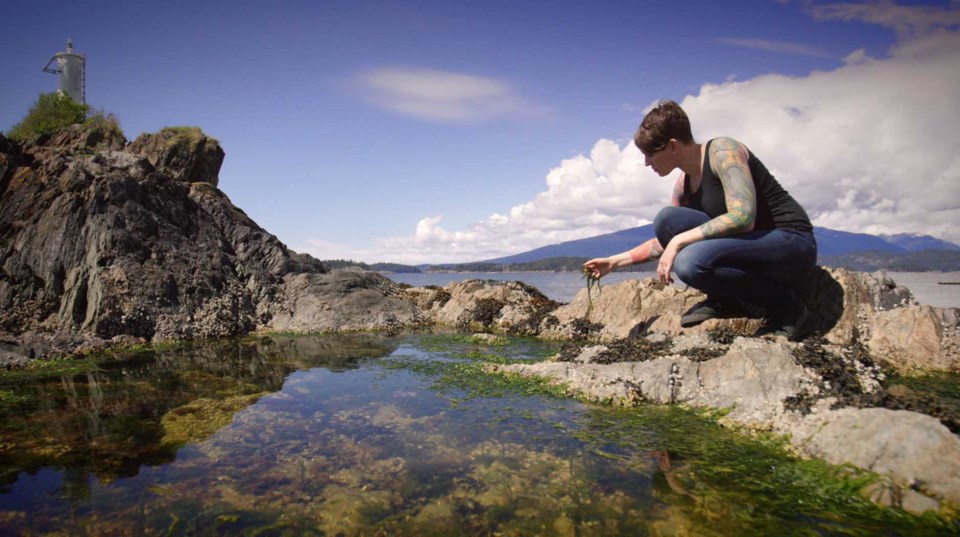 Michelle Catherine Nelson, Foraging, Eat the World Green