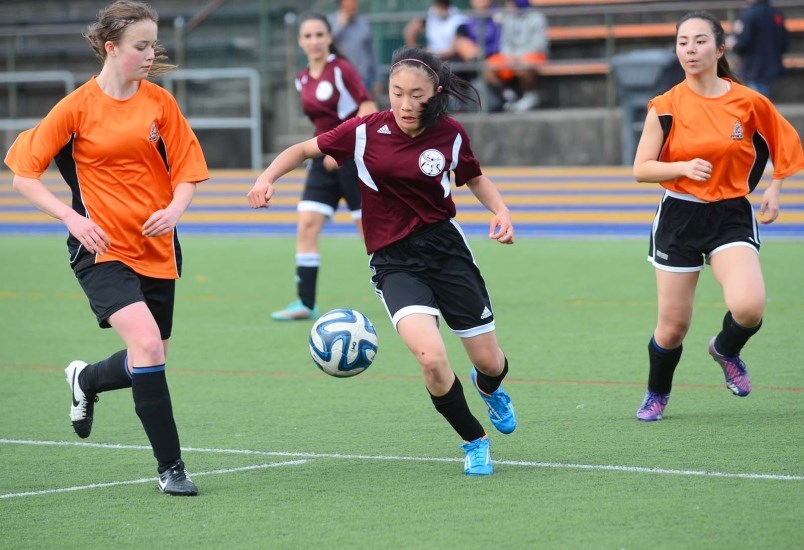 Vikings soccer