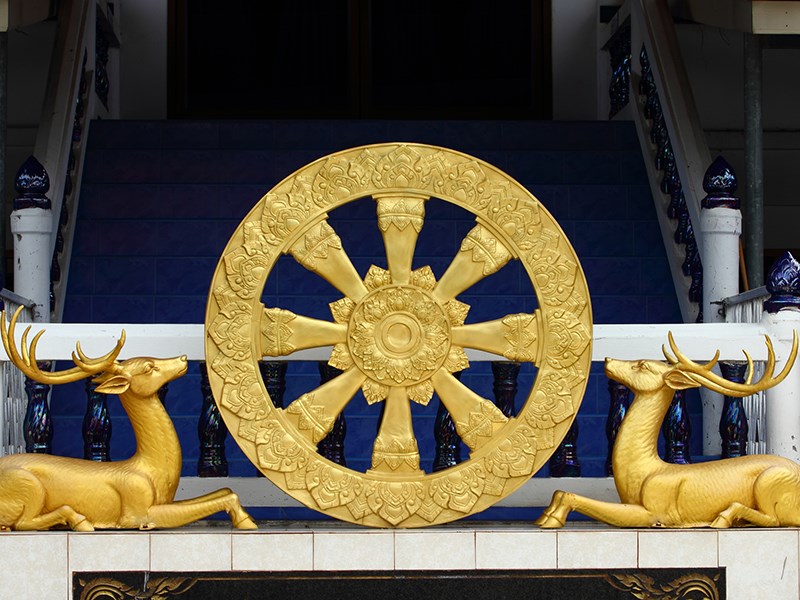 Wheel of Life