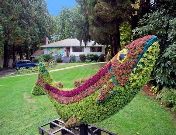 deer lake gallery
