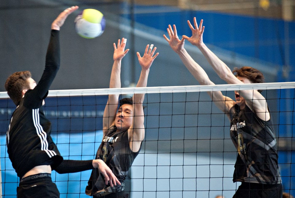 volleyball