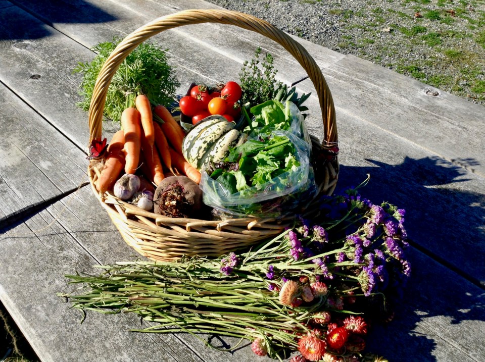 Harvest Basket 
