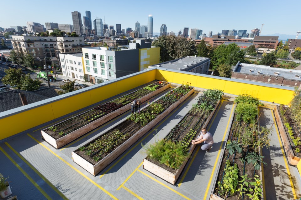 The rooftop garden at Capitol Hill Urban Cohousing in Seattle. Photo William Wright Photography