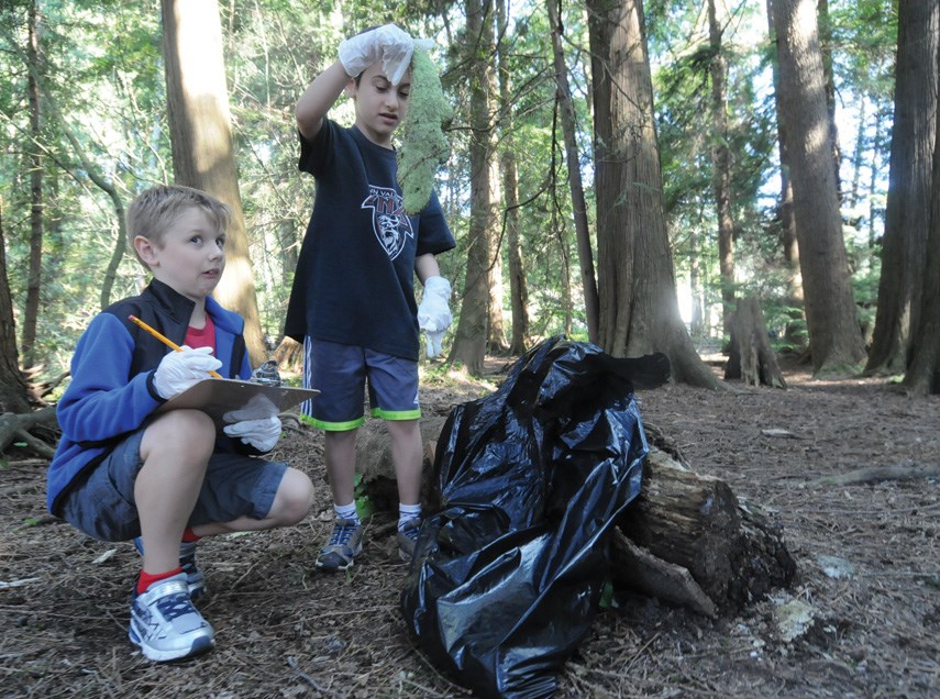 Shoreline clean up