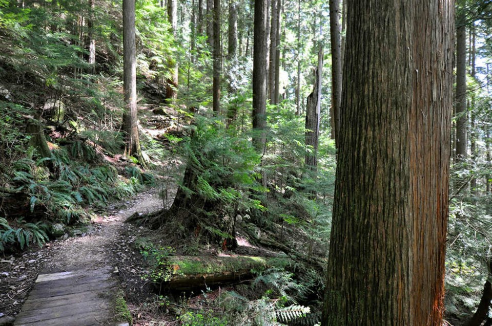 Grouse Grind