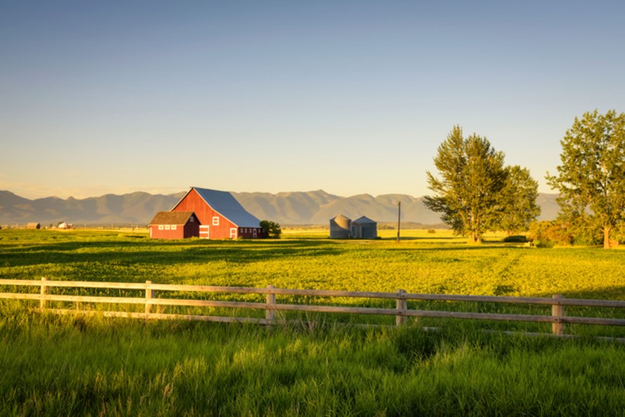 farmland