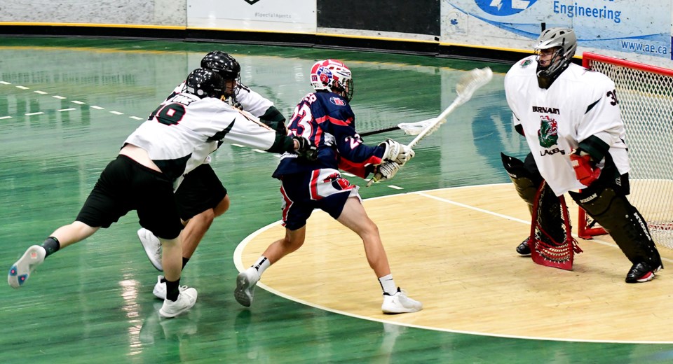 Tier lacrosse