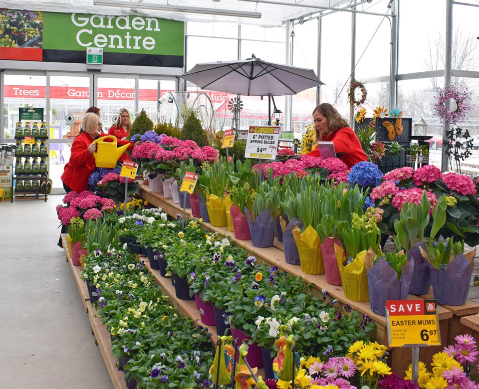 flowers at home depot