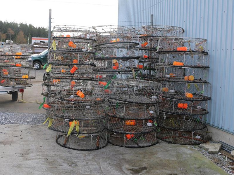 Crab traps