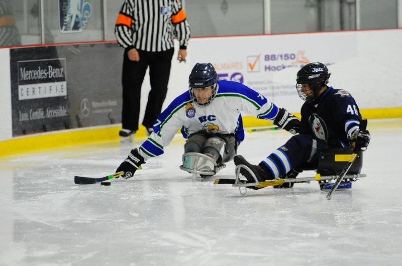 sledge hockey