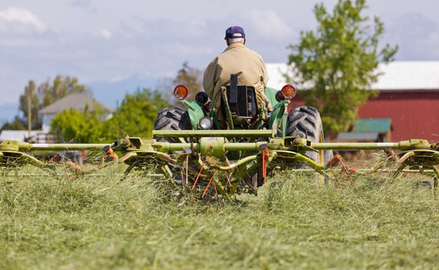 farming