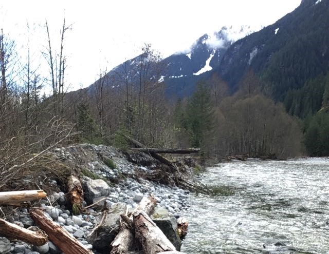 Banks of the Squamish River along the Ashlu Forest Service Road. A young man was swept away by the river early Sunday morning, police say.