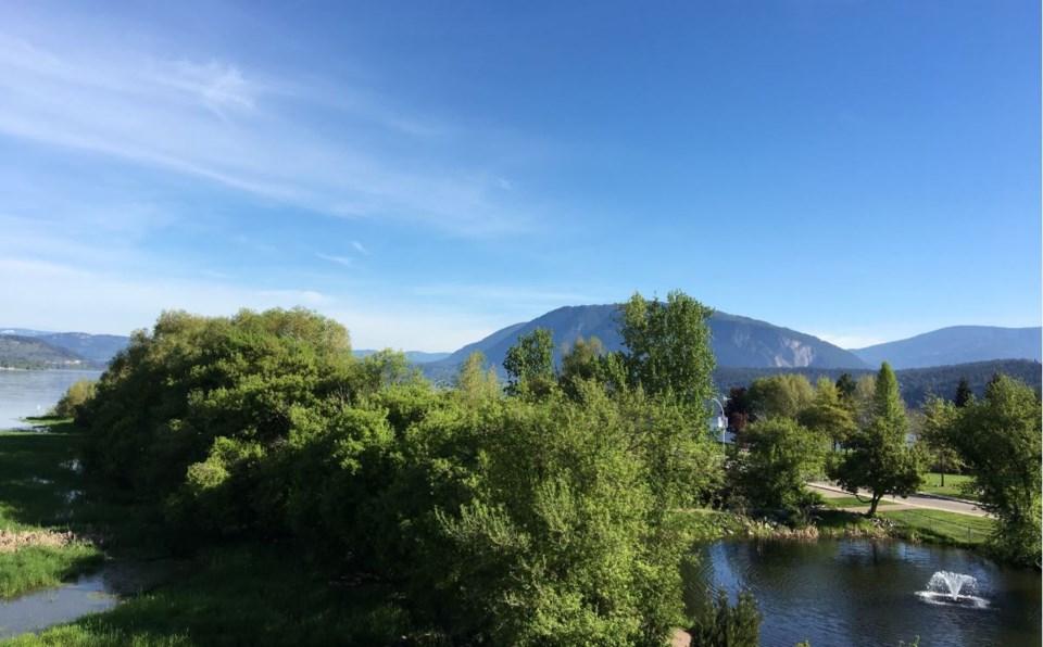 Salmon Arm’s crown jewel is a massive estuary and a birder’s paradise in the middle of downtown. Pho