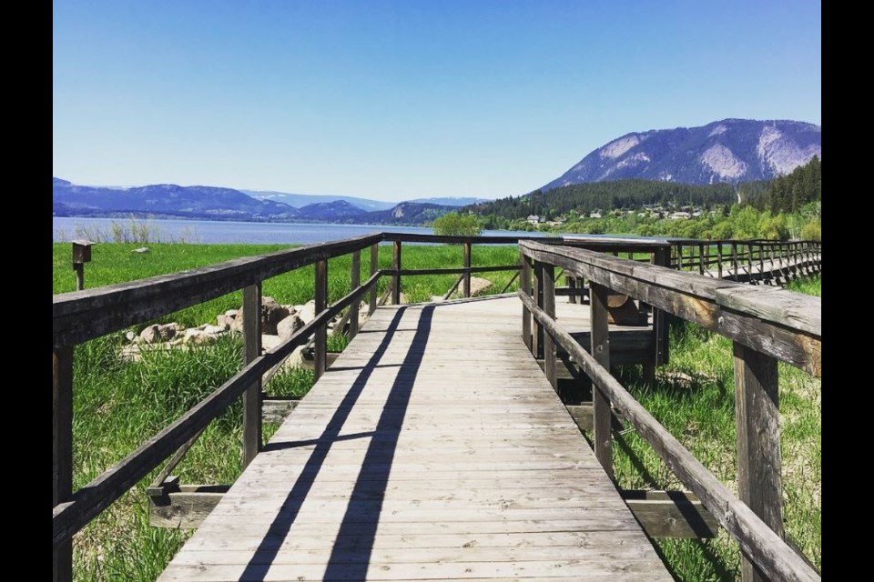 Salmon Arm gained notoriety in 1982 when Prime Minister Pierre Trudeau flipped the bird to its citizens. A lot has changed since then. Photo Grant Lawrence