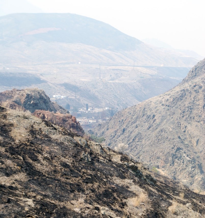 Elephant Hill scorched earth wildfire