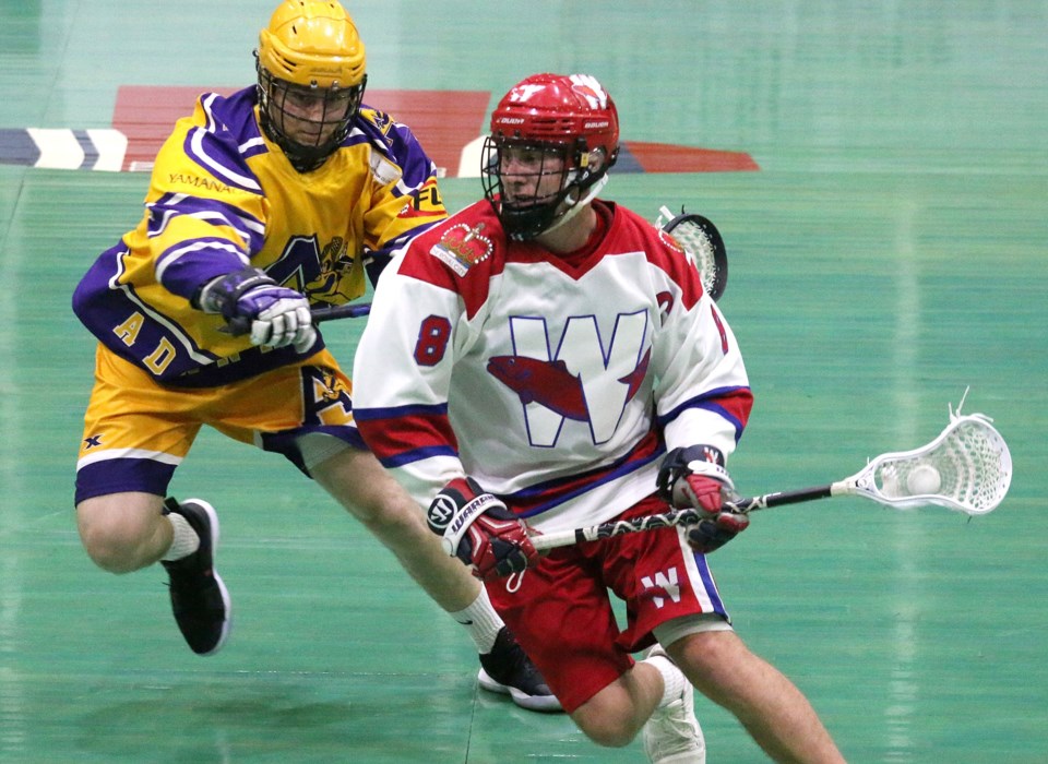 junior Salmonbellies