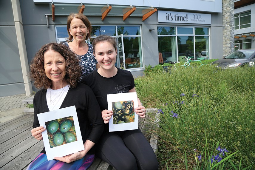 Fitness trainers Sheila Hamilton, Louise Nicholson and Briana Kelly of It's Time Fitness Results hold paintings of the ducks they helped rescue. Gym patrons nurtured four ducks eggs to life after the mother duck was found dead. photo Kevin Hill, North Shore News
