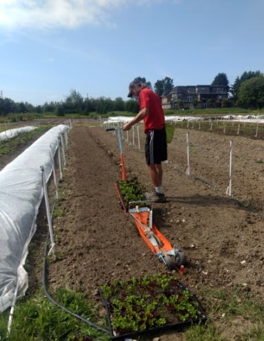 sharing farm paperpot transplanter