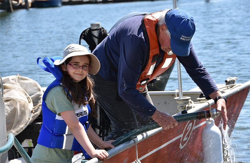 Aniela Guzikowski helps Rod MacVicar with pumping water for coho smolts that are being transported to sea pens via MacVicar's boat The Medusa.